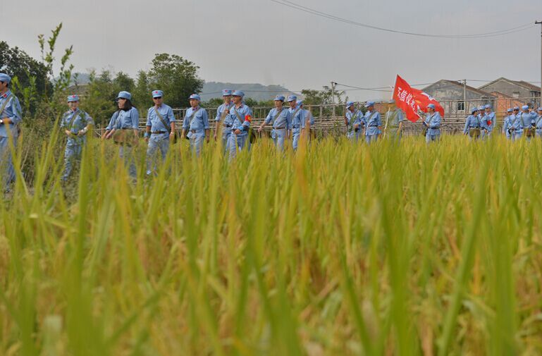 香港六盒宝点资料大全