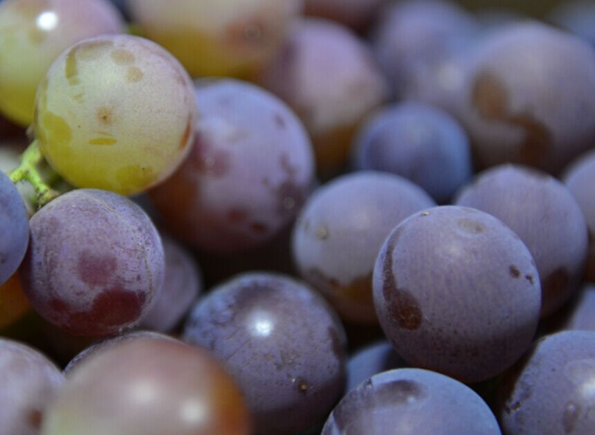 香港六盒宝点资料大全