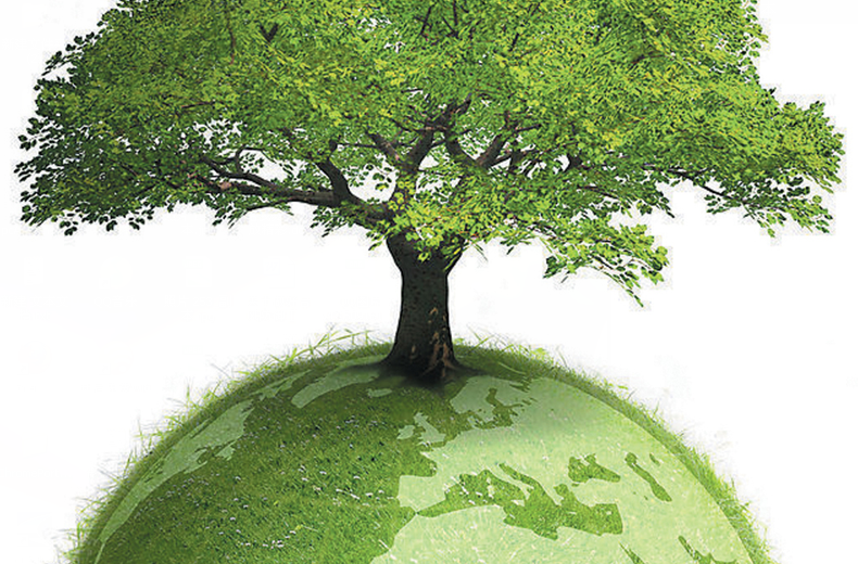 香港六盒宝点资料大全