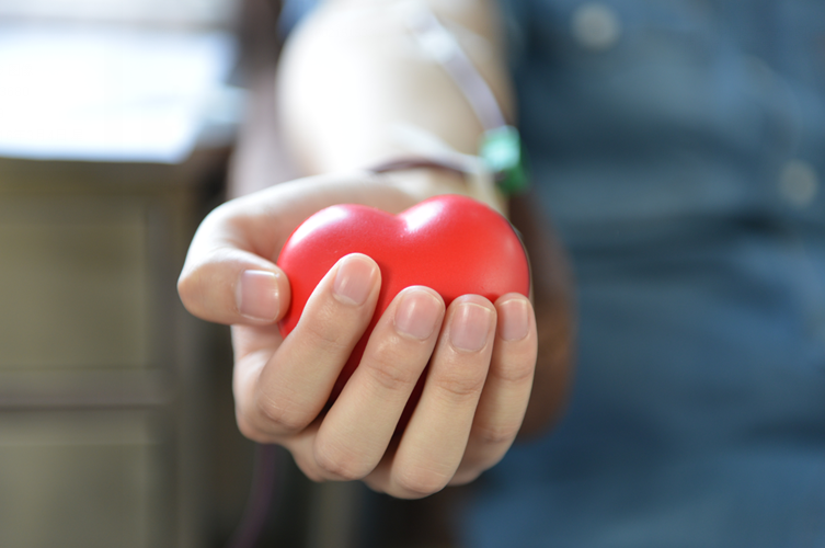 香港六盒宝点资料大全