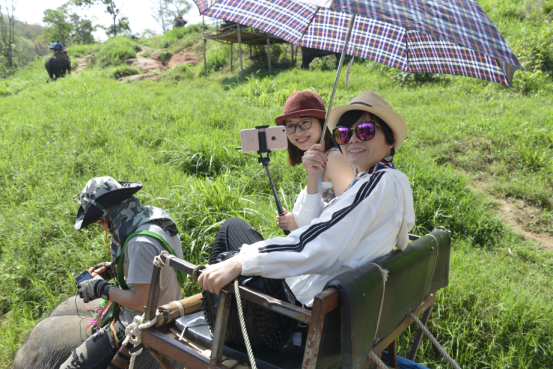 香港六盒宝点资料大全